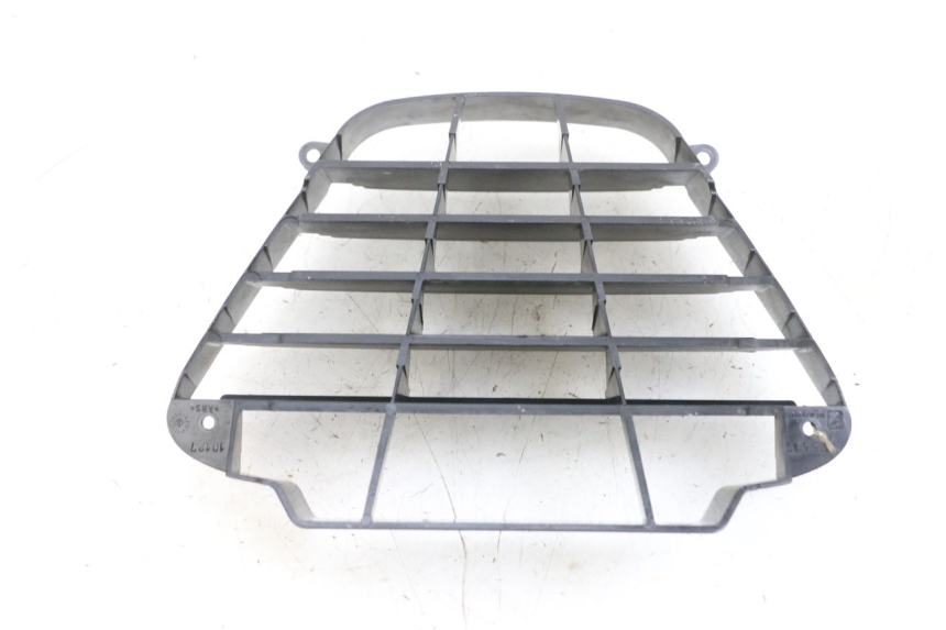 photo de RADIATOR GRILLE PIAGGIO MP3 LT 400 (2007 - 2012) - Alternative perspective