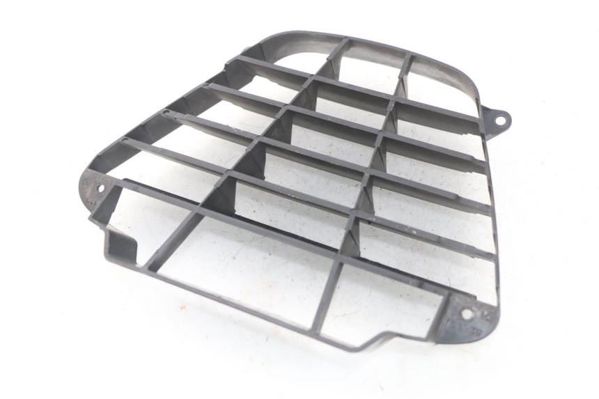 photo de RADIATOR GRILLE PIAGGIO MP3 125 (2006 - 2014) - Component detail