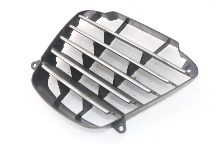 photo de RADIATOR GRILLE PIAGGIO MP3 125 (2006 - 2014) - Zoom on usage condition