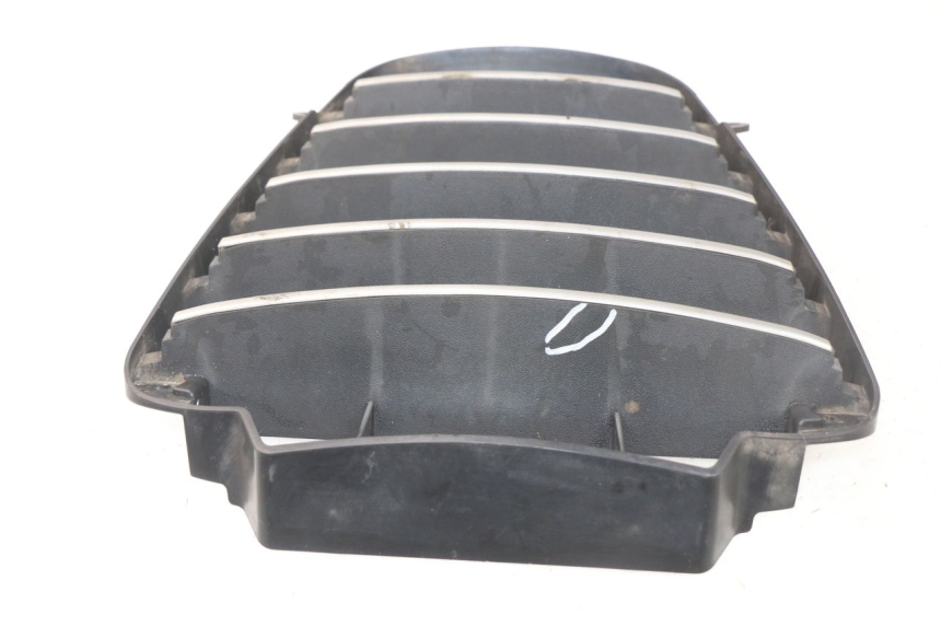 photo de RADIATOR GRILLE PIAGGIO MP3 125 (2006 - 2014) - Alternative perspective