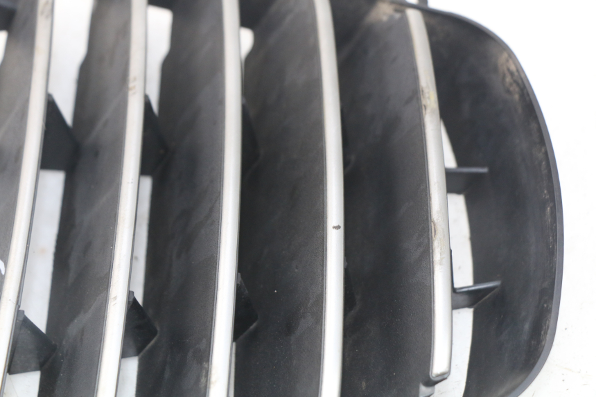 photo de RADIATOR GRILLE PIAGGIO MP3 125 (2006 - 2014) - Product overview