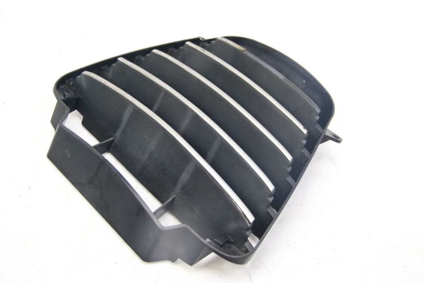 photo de RADIATOR GRILLE PIAGGIO MP3 125 (2006 - 2014) - Main view