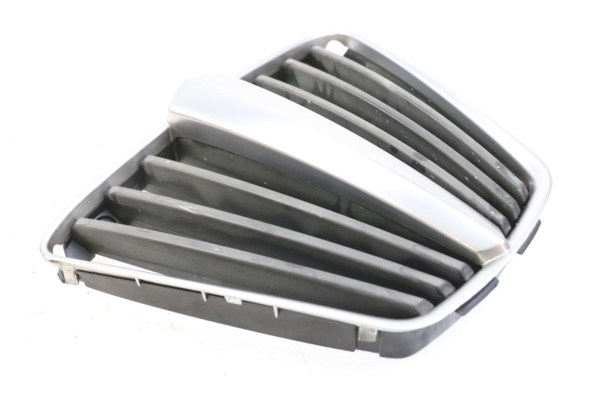 photo de RADIATOR GRILLE PIAGGIO MP3 125 (2006 - 2014) - Main view