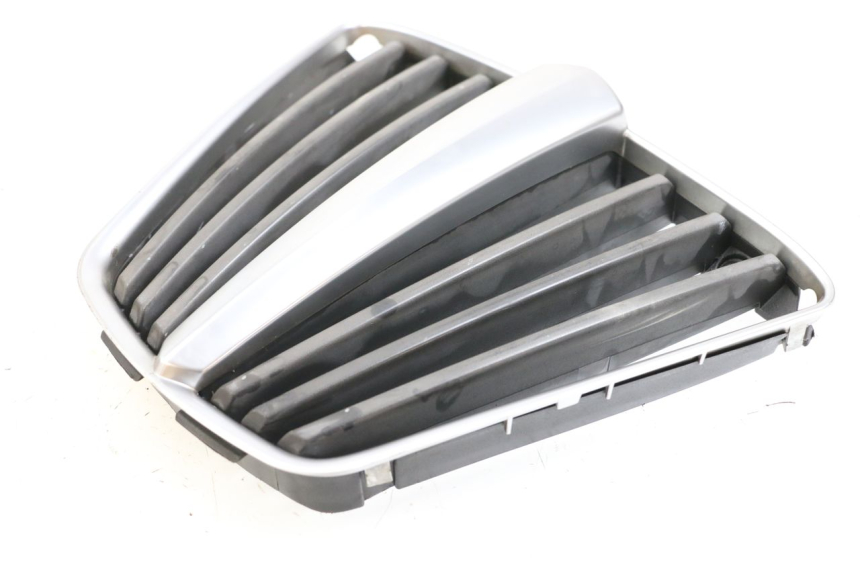 photo de RADIATOR GRILLE PIAGGIO MP3 125 (2006 - 2014) - Technical close-up