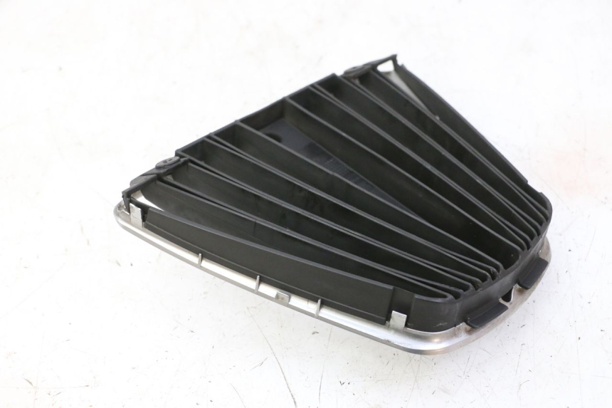 photo de RADIATOR COVER PIAGGIO MP3 RL 250 (2006 - 2010) - Product overview