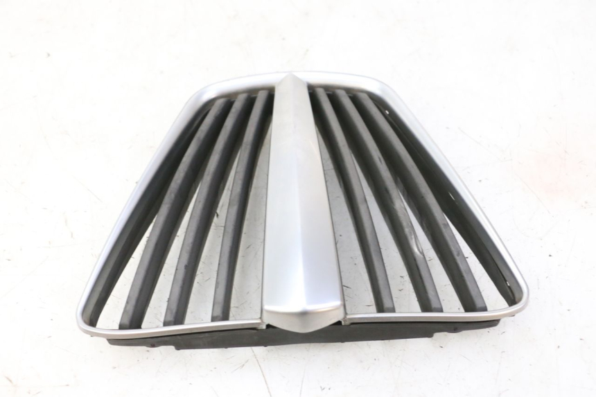 photo de RADIATOR COVER PIAGGIO MP3 RL 250 (2006 - 2010) - Surface and material condition