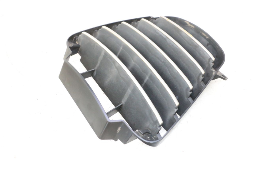 photo de RADIATOR GRILLE PIAGGIO MP3 125 (2006 - 2014) - Technical close-up