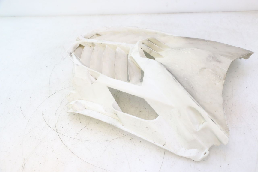 photo de RADIATOR COVER MBK NITRO 50 (2004 - 2008) - Surface and material condition
