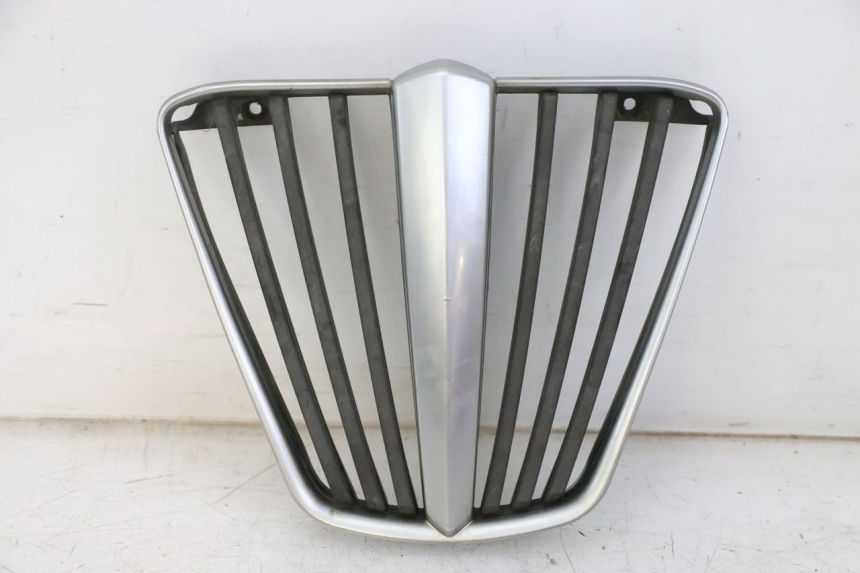 photo de RADIATOR GRILLE PIAGGIO MP3 LT 400 (2007 - 2012) - Component detail