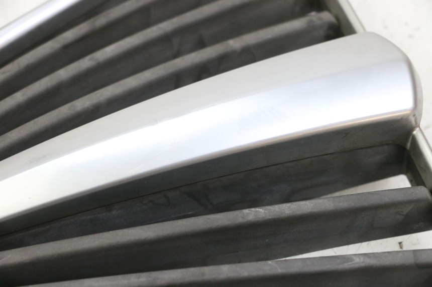 photo de RADIATOR GRILLE PIAGGIO MP3 LT 400 (2007 - 2012) - Fixing points details