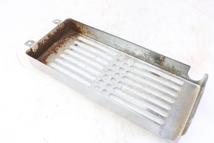 photo de RADIATOR COVER REGAL RAPTOR RAXTER 2 125 (2007 - 2015) - Zoom on usage condition