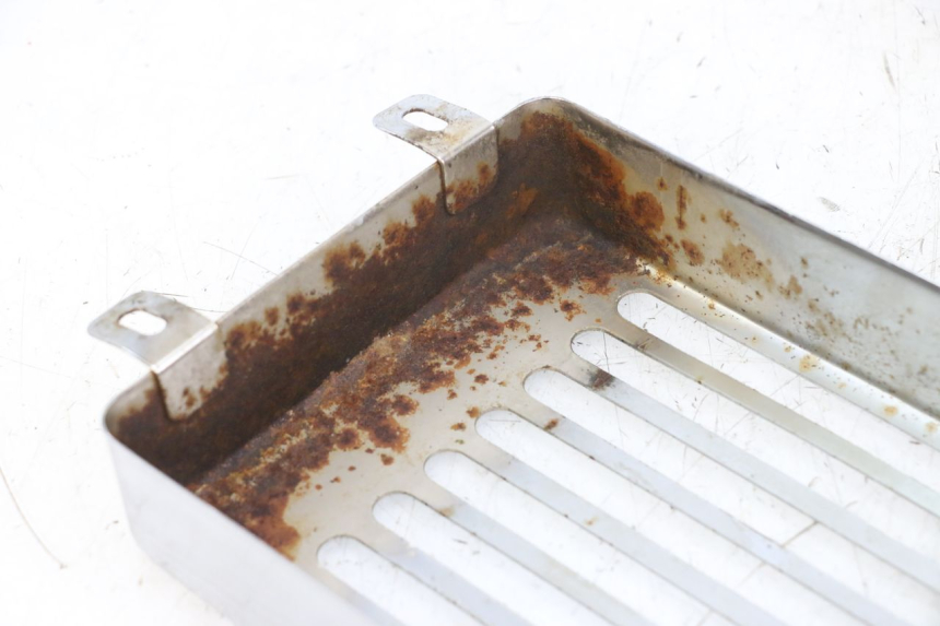 photo de RADIATOR COVER REGAL RAPTOR RAXTER 2 125 (2007 - 2015) - Alternative perspective