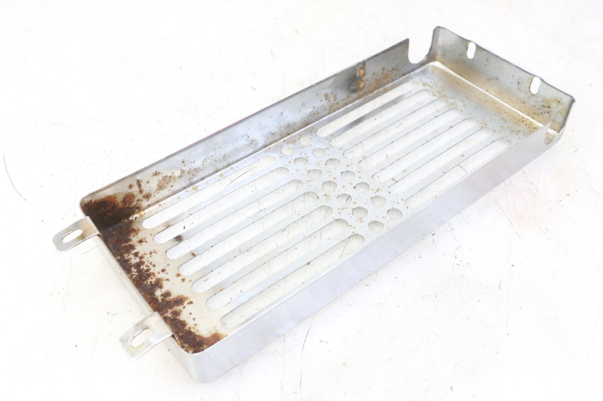 photo de RADIATOR COVER REGAL RAPTOR RAXTER 2 125 (2007 - 2015) - Technical close-up