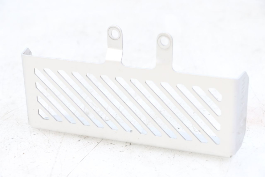 photo de RADIATOR COVER ROYAL ENFIELD HYMALAYAN 410 (2016 - 2023) - Main view