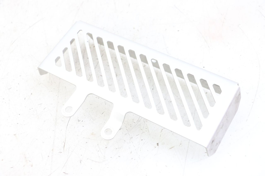 photo de RADIATOR COVER ROYAL ENFIELD HYMALAYAN 410 (2016 - 2023) - Technical close-up