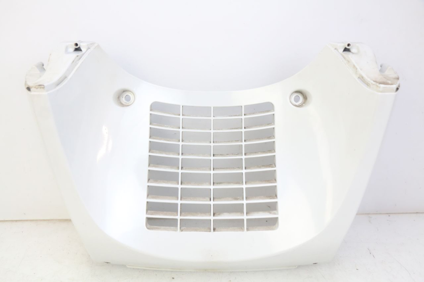 photo de RADIATOR GRILLE DAELIM S3 125 (2010 - 2017) - Main view