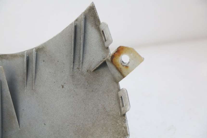 photo de RADIATOR GRILLE DAELIM S3 125 (2010 - 2017) - Alternative perspective