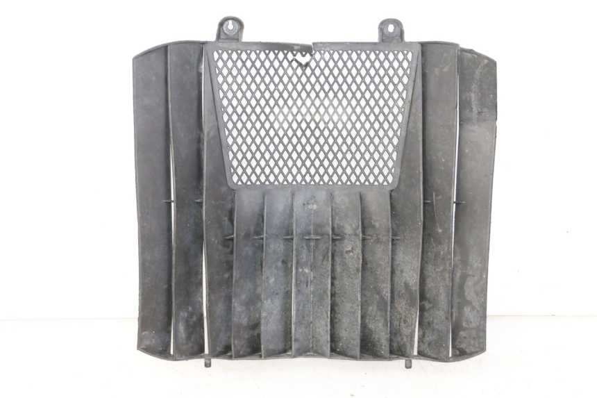 photo de RADIATOR COVER KTM SUPERENDURO R 950 (2005 - 2009) - Main view