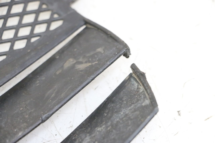 photo de RADIATOR COVER KTM SUPERENDURO R 950 (2005 - 2009) - Product overview