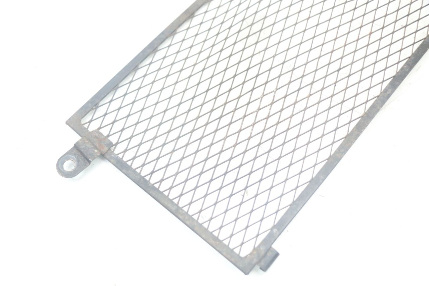 photo de RADIATOR GRILLE YAMAHA TDM ABS 900 (2002 - 2014) - Zoom on usage condition
