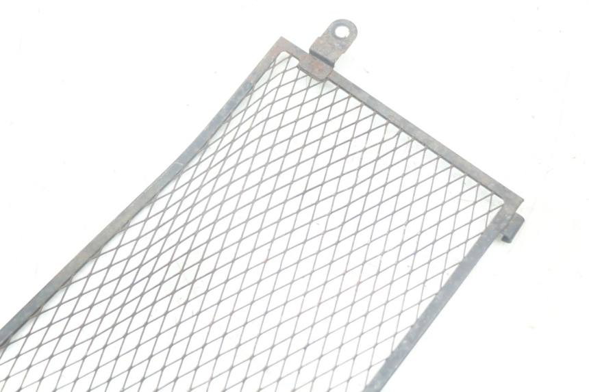 photo de RADIATOR GRILLE YAMAHA TDM ABS 900 (2002 - 2014) - Alternative perspective