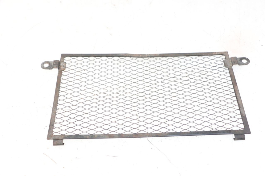photo de RADIATOR GRILLE YAMAHA TDM ABS 900 (2002 - 2014) - Alternative perspective
