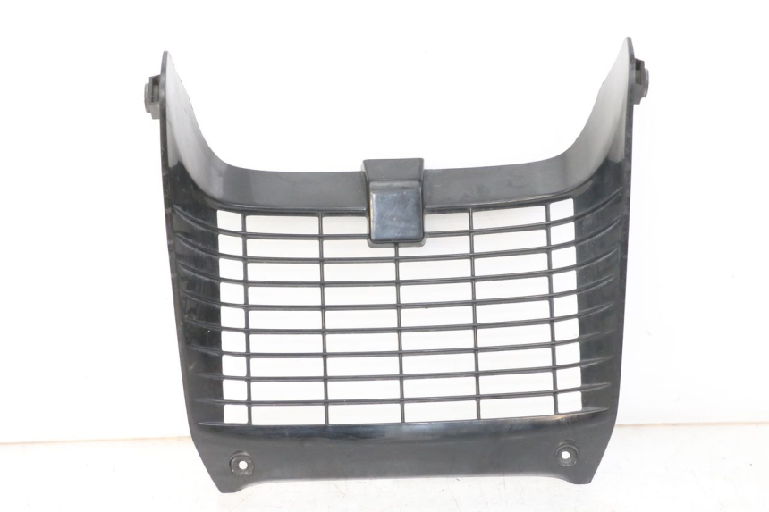 photo de RADIATOR COVER YAMAHA TDR DELTABOX 125 (1997 - 2003) - Main view