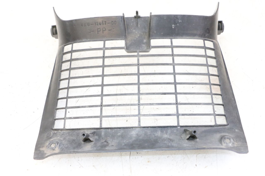 photo de RADIATOR COVER YAMAHA TDR DELTABOX 125 (1997 - 2003) - Alternative perspective