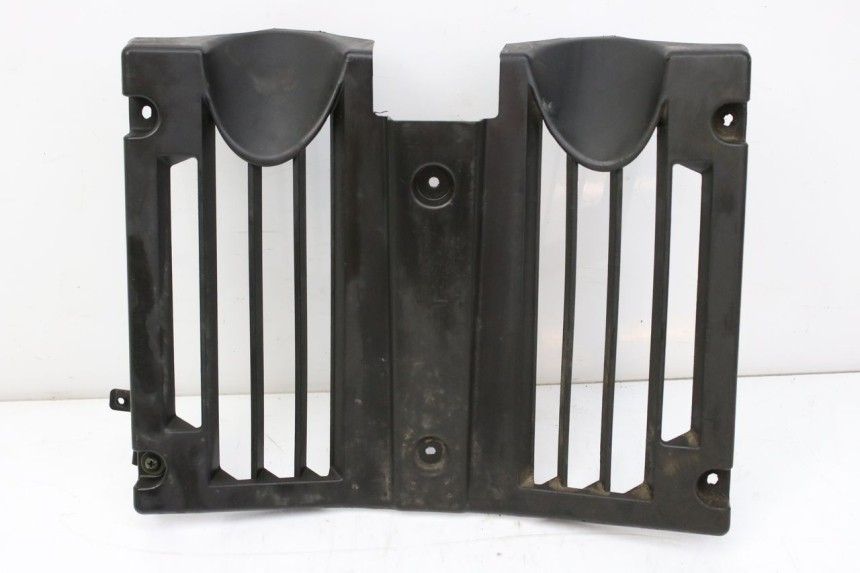 photo de RADIATOR GRILLE KEEWAY TX 50 (2008 - 2015) - Main view