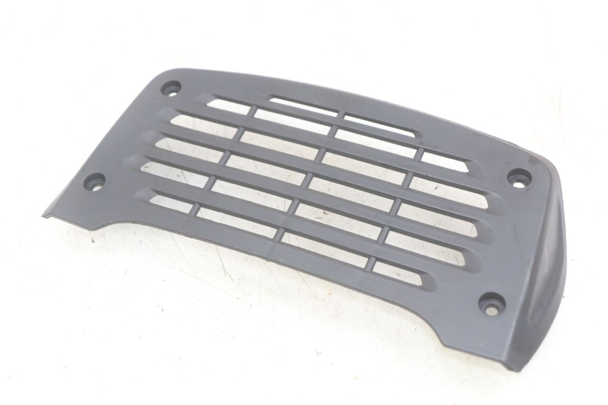 photo de RADIATOR GRILLE DAELIM VJ ROADWIN FI 125 (2008 - 2017) - Zoom on usage condition