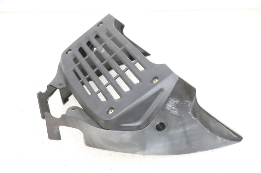 photo de RADIATOR GRILLE DAELIM VJ ROADWIN FI 125 (2008 - 2017) - Technical close-up