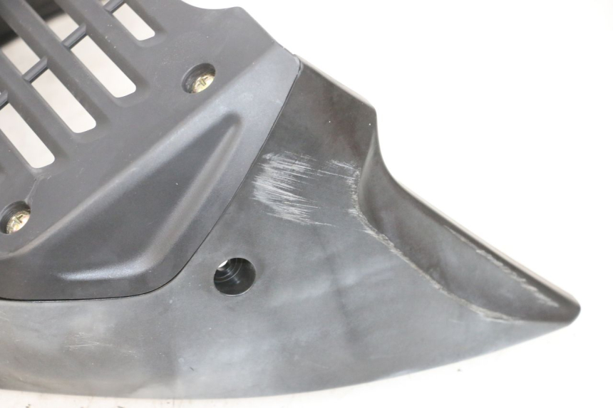 photo de RADIATOR GRILLE DAELIM VJ ROADWIN FI 125 (2008 - 2017) - Product overview