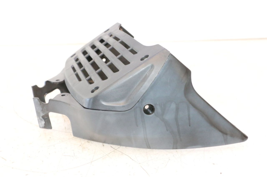 photo de RADIATOR COVER DAELIM VJ ROADWIN 125 (2004 - 2007) - Zoom on usage condition