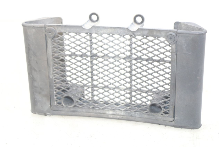 photo de RADIATOR GRILLE DAELIM VL DAYSTAR 125 (2000 - 2011) - Main view