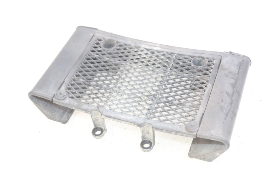 photo de RADIATOR GRILLE DAELIM VL DAYSTAR 125 (2000 - 2011) - Alternative perspective