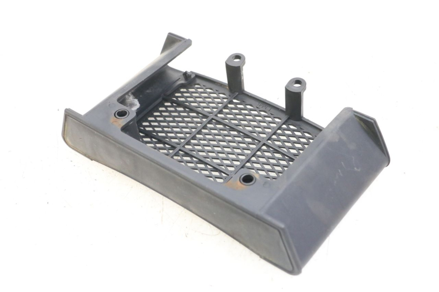 photo de RADIATOR GRILLE DAELIM VL DAYSTAR 125 (2000 - 2011) - Zoom on usage condition