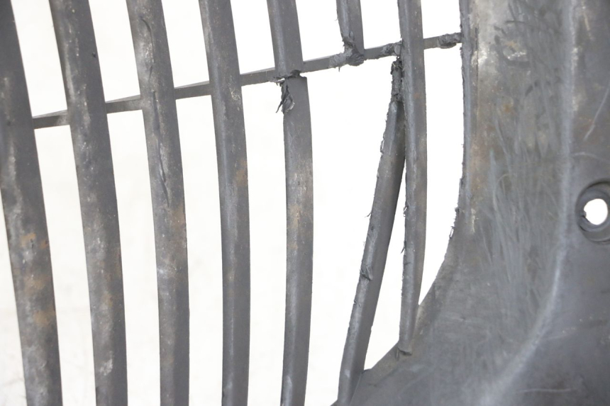 photo de RADIATOR GRILLE YAMAHA X-MAX XMAX 250 (2006 - 2009) - Alternative perspective