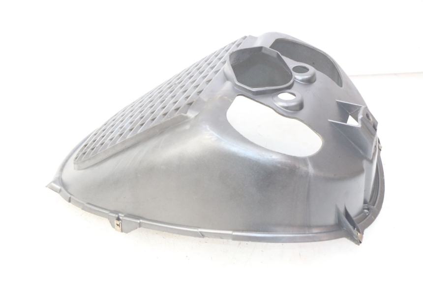 photo de RADIATOR GRILLE PIAGGIO X9 EVOLUTION 125 (2003 - 2007) - Component detail
