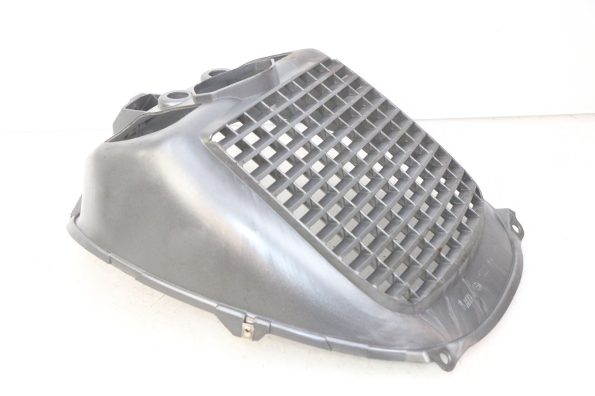 photo de RADIATOR GRILLE PIAGGIO X9 EVOLUTION 125 (2003 - 2007) - Zoom on usage condition