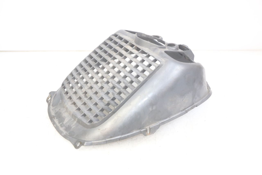 photo de RADIATOR GRILLE PIAGGIO X9 EVOLUTION 125 (2003 - 2007) - Component detail
