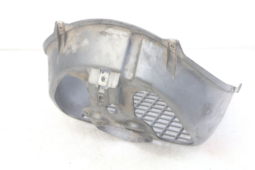 photo de RADIATOR GRILLE PIAGGIO X9 EVOLUTION 125 (2003 - 2007) - Alternative perspective