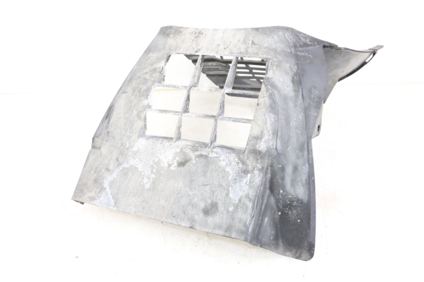 photo de Radiator grille KYMCO XCITING 250 (2006 - 2009) - Alternative perspective