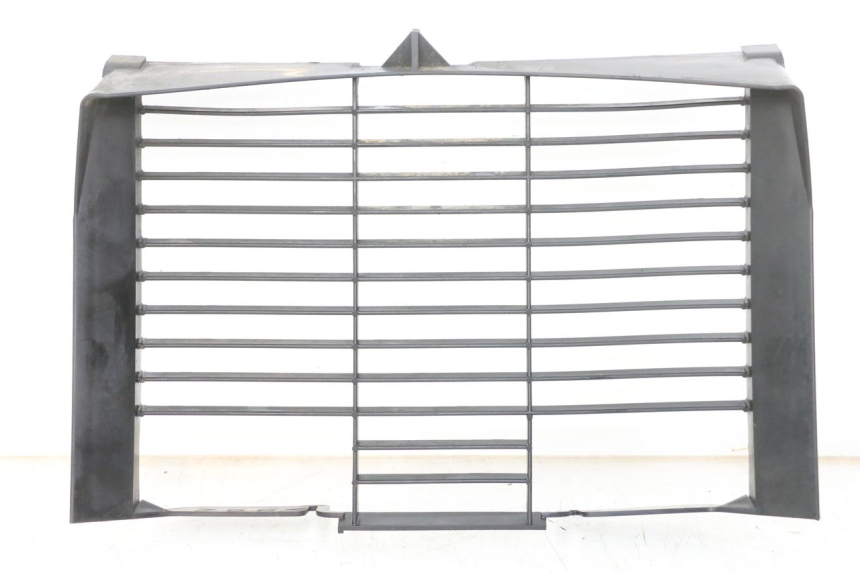 photo de RADIATOR COVER YAMAHA XJ6 ABS 600 (2008 - 2016) - Main view