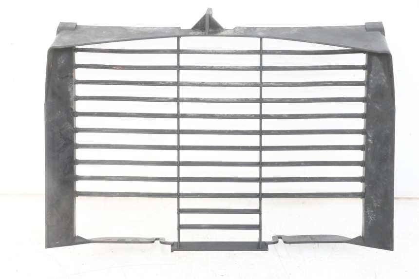 photo de RADIATOR COVER YAMAHA XJ6 ABS 600 (2008 - 2016) - Main view