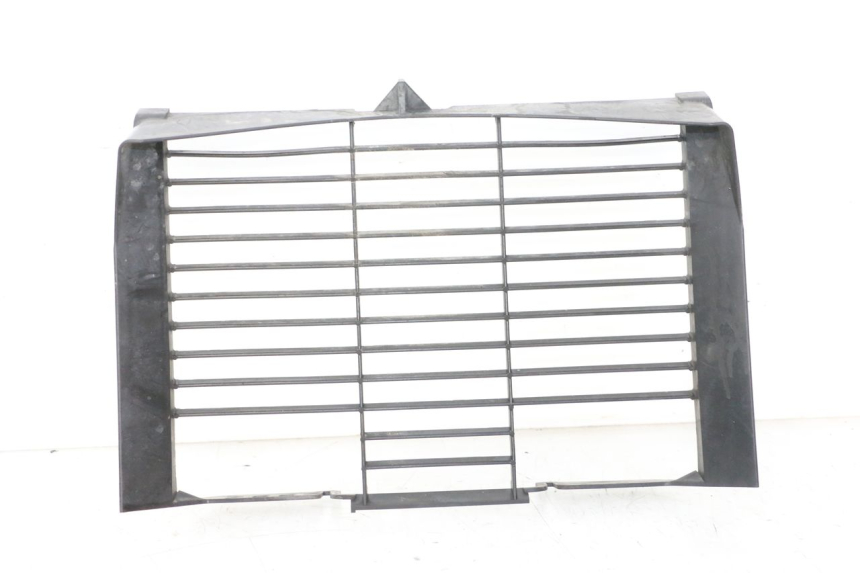 photo de RADIATOR COVER YAMAHA XJ6 ABS 600 (2008 - 2016) - Main view