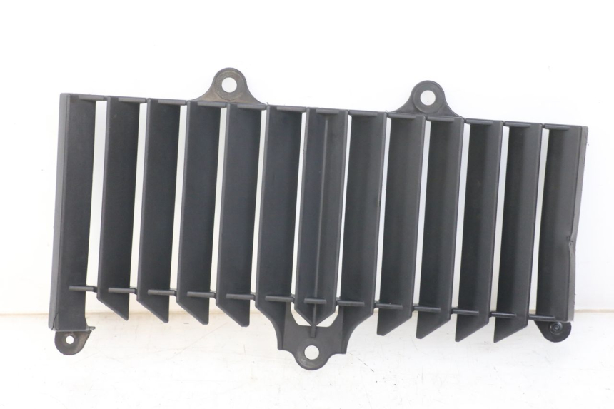 photo de RADIATOR GRILLE YAMAHA XT X 660 (2004 - 2016) - Main view