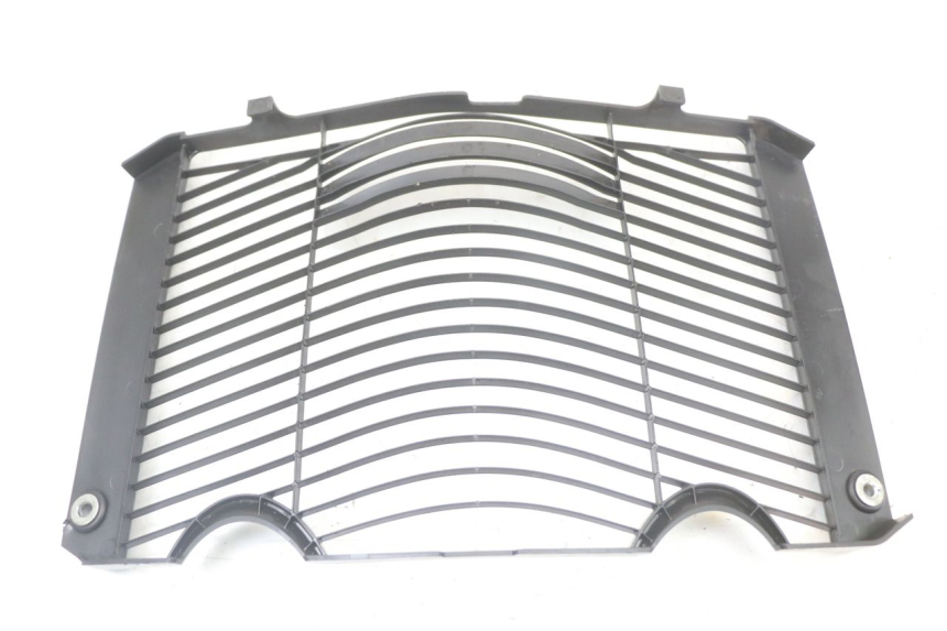 photo de RADIATOR COVER YAMAHA FZ1 FAZER 1000 (2007 - 2009) - Zoom on usage condition
