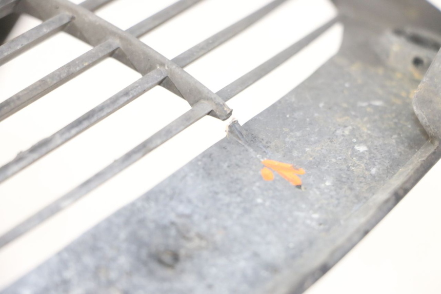 photo de RADIATOR GRILLE YAMAHA X-MAX XMAX ABS 250 (2010 - 2014) - Zoom on usage condition