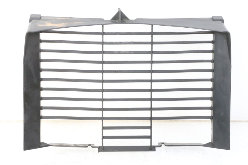 photo de RADIATOR COVER YAMAHA XJ6 600 (2008 - 2016) - Main view