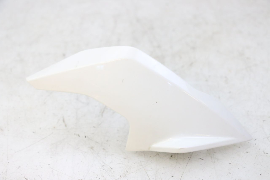 photo de RIGHT INNER FRONT FAIRING BMW G310 R 310 (2016 - 2020) - Main view